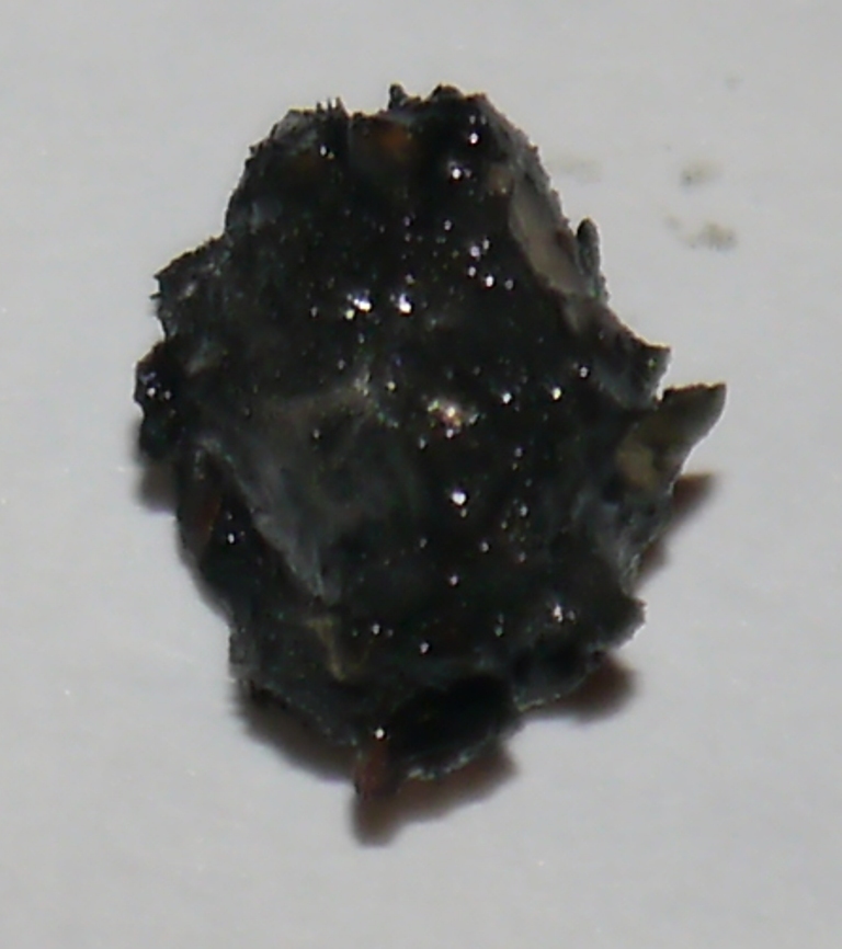 Schwimmer 2_1024.jpg